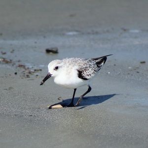 I am willing to negotiate prices on most clothing items!